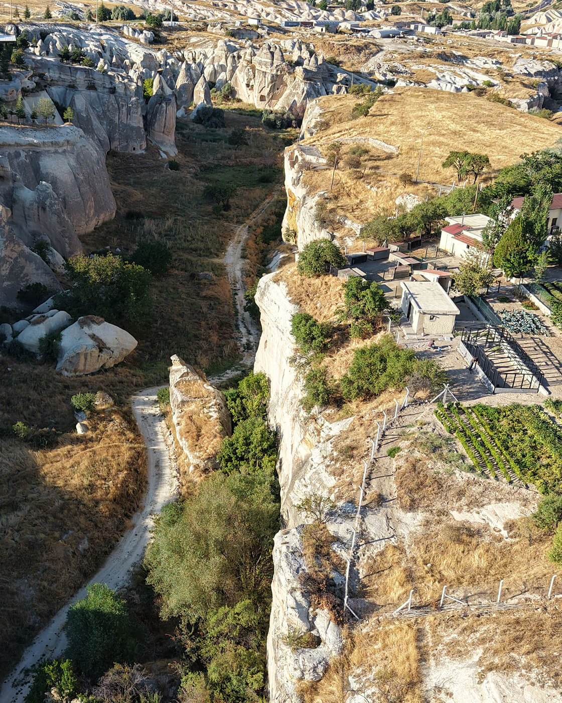 Tarladan Gorgoli sofrasına